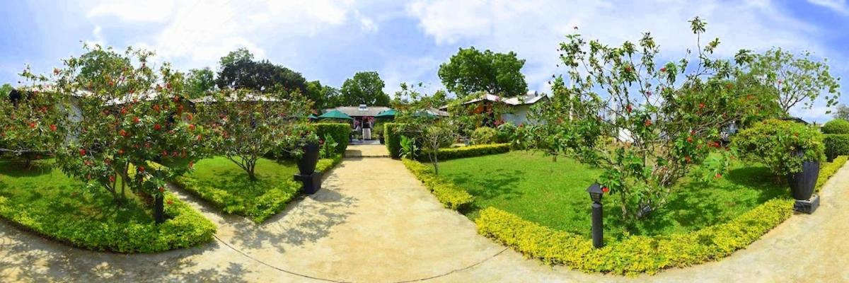 Flower Garden Lake Resort Tissamaharama Buitenkant foto